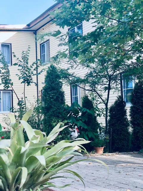 About hotel image